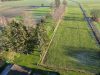 Ein Zuhause für die ganze Familie: Wohnhaus mit parkähnlichem Garten mit einer Allee und Teichen - Weitläufige Allee