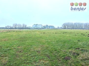 Verkauf: 3.77.20 ha Grünland in der Gemarkung Haßbergen, 31626 Haßbergen, Gartenbau