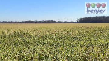 Verkauf: 1,3 ha Ackerland in der Gemarkung Schwarme, 27327 Schwarme / Hörsten, Ackerbau