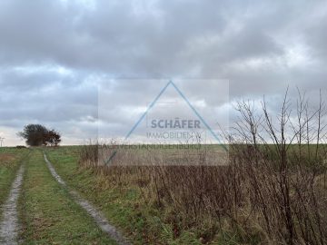 Landwirtschaftliche Fläche, Auf dem Hesterlande, 28857 Syke / Ristedt, Land-/Forstwirtschaft