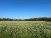 Ackerland in Neubruchhausen - Verkauf im Bieterverfahren bis 05.12.2024! - image1